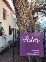 Aster outside