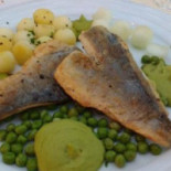 Restaurant Windrose Cibo