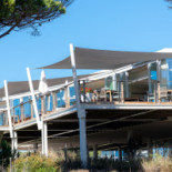 Verbasco Cibo