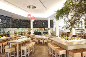 Vapiano inside