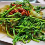 แต๋วจิ้มจุ่ม Cibo