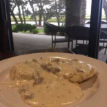 Oak Anchor Cibo