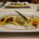 Phoebus Cibo