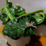 Initial Cibo