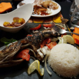 243 Cibo