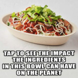 Chipotle Mexican Grill Cibo
