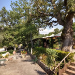 Villa La Quercia outside