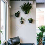 Purpose Roasters Dentro