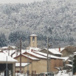 Ris Esterno