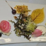 Hostellerie d'Alsace Esterno
