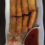 Phan Gia Cibo