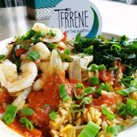 Terrene food