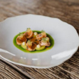 Opus V Cibo