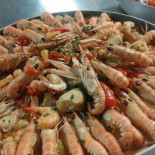 Cobar Cibo