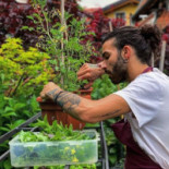 Il Sole Di Ranco Comida
