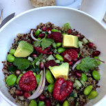 Coco Cibo