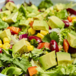 Pl678 Café Und Plattenladen Cibo
