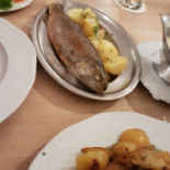 Millipp Cibo