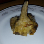 Terra Vegetariano Nourriture