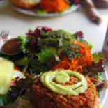 Zephyr Cafe Cibo