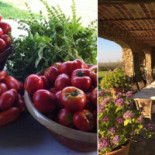 Privatediningpiemonte Nourriture