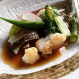 Masami Cibo