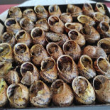Sicoris Cibo