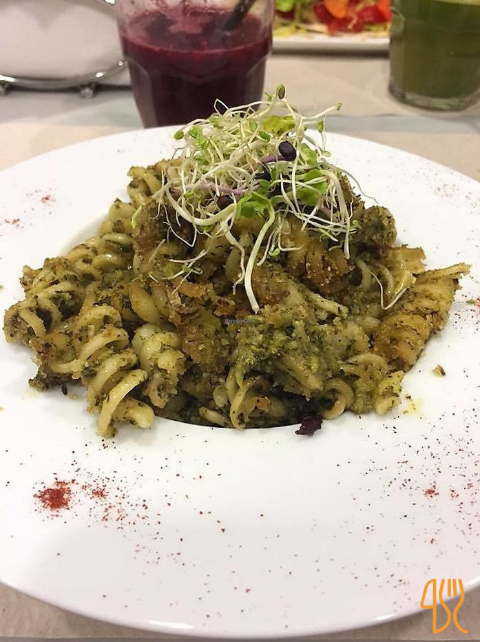 Ortozero Caffe Comida