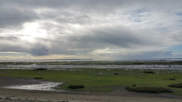 L'esquirey Sur Le Port Ostréicole D'andernos food