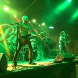 Black Monkey Cibo