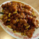 Amerient Cibo