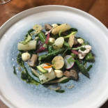 Hayward's Cibo