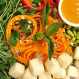 Sprout Cibo