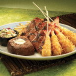 Rainforest Cafe Cibo