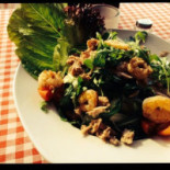 Escendo Cibo