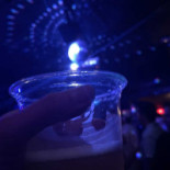 Shakedown Cibo