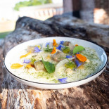 Rizom Cibo