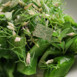 Osteria Dell Olmo food