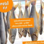อาหารทะเลตากแห้ง ของดีเมืองนราธิวาส Cibo