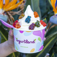 Yogurtland Arvada food