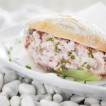Wulfisch Cibo