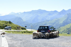 Restaurant Bar du Col D'Aubisque outside