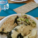 Zenzero Cibo