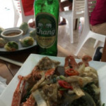 Green Bird Cibo