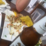 Green Bird Cibo