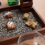 Scesce' Braceria Pizzeria
