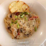 Harvest Cibo