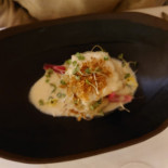 Groseille Cibo