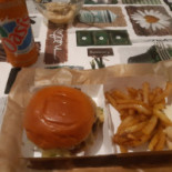 Mjs Cibo
