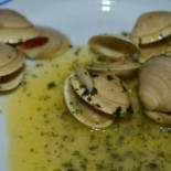 Pucinho Cibo